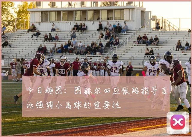 今日趣图：图赫尔回应张路指导言论强调小高球的重要性